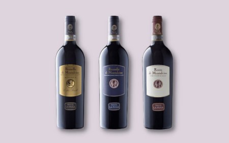 La Tenuta la Fuga a Benvenuto Brunello