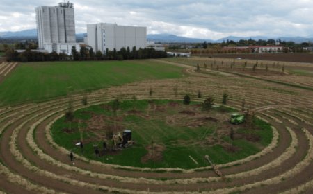 Al via il primo "Science International Open Day - Bosco del Molino”