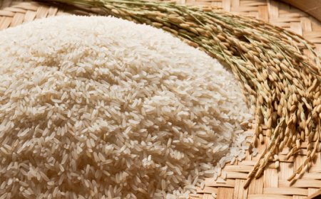 Stop alla clausola di salvaguardia, il riso asiatico invade l'Italia