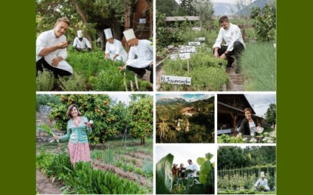 Se lo chef si riscopre anche contadino: l’economia circolare sbarca fra i fornelli