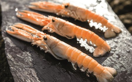 Prodotti ittici irlandesi: alta qualità e benessere grazie alla tecnica "Frozen at Sea"