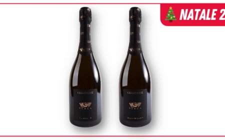 Champagne Tanca Brands, per brindisi esclusivi e raffinati