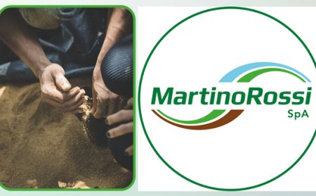 MartinoRossi Spa si prende cura degli alberi per dare radici al futuro del pianeta