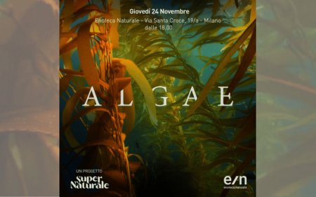 SuperNaturale presenta il progetto Algae a Milano
