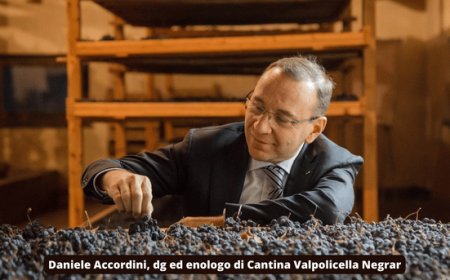 Vino: cambiamento climatico, in Valpolicella pigiatura anticipata