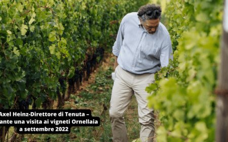 Vendemmia Ornellaia: versatilità e resilienza dei vignaioli in una stagione di contraddizioni climatiche
