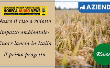 Nasce il riso a ridotto impatto ambientale: Knorr lancia in Italia il primo progetto