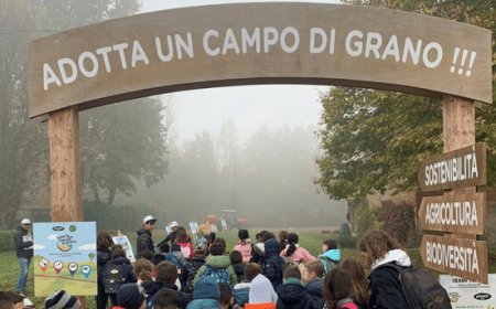 Molini Pivetti: "Adotta un campo di grano" si rinnova e coinvolge 550 bambini nuovi partecipanti 