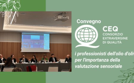 Convegno CEQ: i professionisti dell'olio d'oliva per l'importanza della valutazione sensoriale