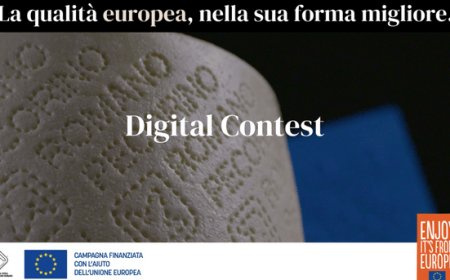 “La tradizione rivisitata”: arriva il contest dedicato al Pecorino Romano DOP