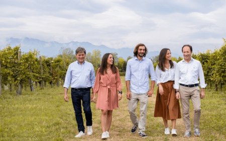 I vitigni resistenti di Casa Paladin