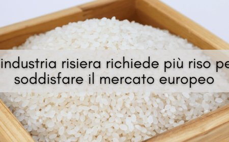 L'industria risiera richiede più riso per soddisfare il mercato europeo