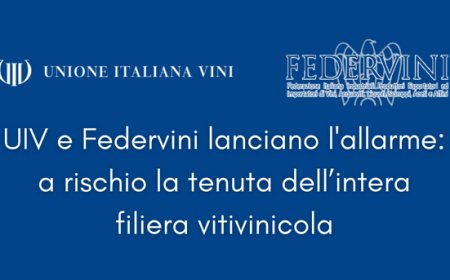 UIV e Federvini lanciano l'allarme: a rischio la tenuta dell’intera filiera vitivinicola