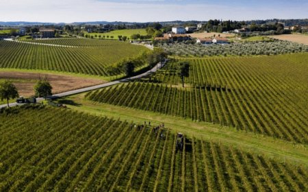 Il Consorzio Tutela Lugana DOC incontra Venezia