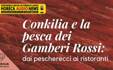 Conkilia e la pesca dei Gamberi Rossi: dai pescherecci ai ristoranti