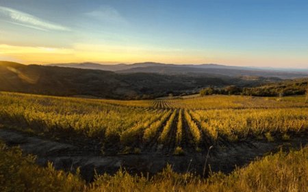 Toscana Wine Architecture si racconta a “Wine in Venice”