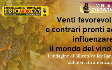 Venti favorevoli e contrari pronti ad influenzare il mondo del vino. L’indagine di Silicon Valley Bank sul mercato americano