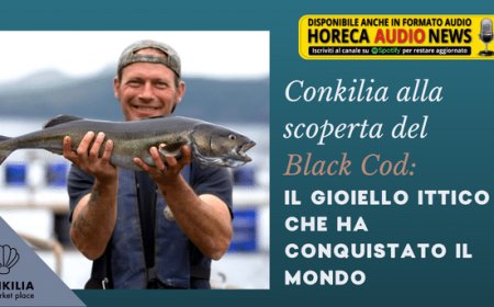 Conkilia alla scoperta del Black Cod: il gioiello ittico che ha conquistato il mondo