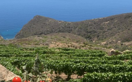 La Toscana celebra la cucina mediterranea alla BIT di Milano