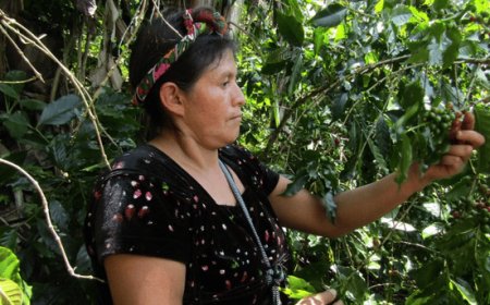 Progetto doña Lucero di Amka e CSC, il riscatto delle donne grazie al caffè