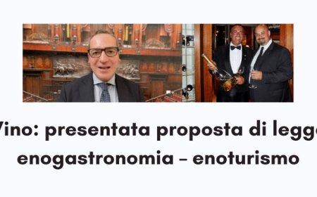 Vino: presentata proposta di legge enogastronomia – enoturismo