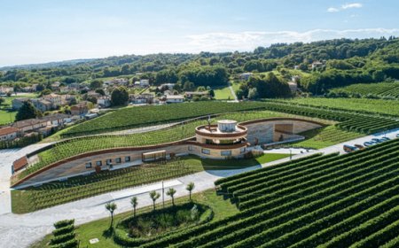 Festa della Donna: degustazioni e passeggiate nei luoghi di Giusti Wine