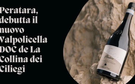 Peratara, debutta il nuovo Valpolicella DOC de La Collina dei Ciliegi