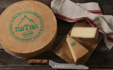 “FontinaMI”, conclusa con successo la seconda edizione