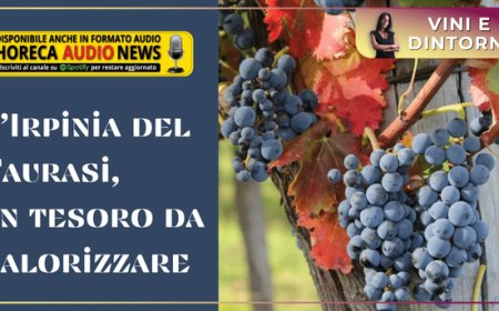 L’Irpinia del Taurasi, un tesoro da valorizzare