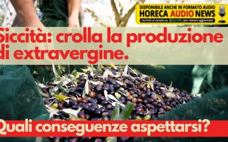 Siccità: crolla la produzione di extravergine. Quali conseguenze aspettarsi?