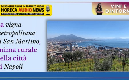 La vigna metropolitana di San Martino, anima rurale della città di Napoli