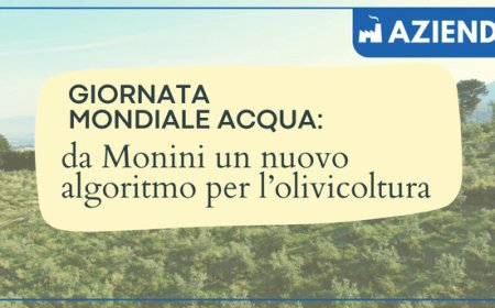 Giornata Mondiale Acqua: da Monini un nuovo algoritmo per l’olivicoltura