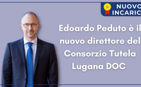Edoardo Peduto è il nuovo direttore del Consorzio Tutela Lugana DOC 