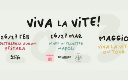 26 e 27 marzo 2023 - Piazza Enrico de Nicola, 48 a Napoli - Viva la Vite