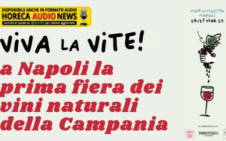 Viva la Vite, a Napoli la prima fiera dei vini naturali della Campania