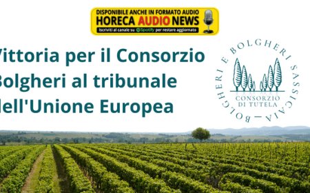 Vittoria per il Consorzio Bolgheri al tribunale dell'Unione Europea