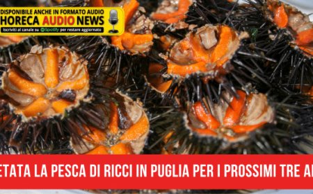 Vietata la pesca di ricci in Puglia per i prossimi tre anni