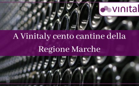 A Vinitaly cento cantine della Regione Marche