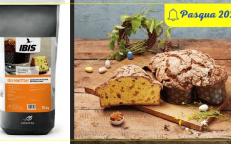 Ibis Panettone per dolci di Pasqua soffici e freschi a lungo