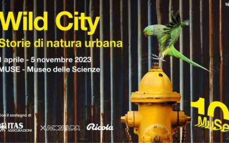 Ricola sostiene la nuova mostra del MUSE: Wild City. Storie di natura urbana