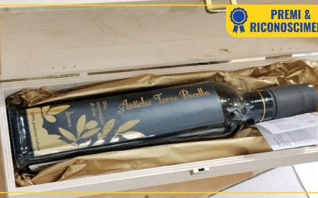 Antiche Terre Pacella tra le aziende ambasciatrici della qualità oleica ciociara