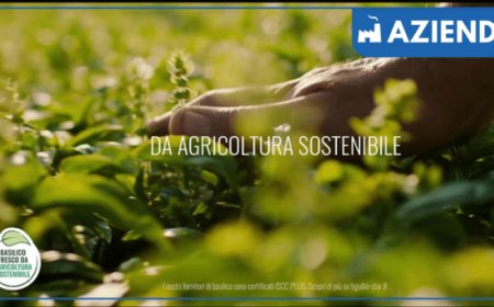 Tigullio avvia un percorso di sostenibilità che parte dal basilico