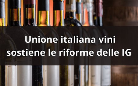 Unione italiana vini sostiene le riforme delle IG