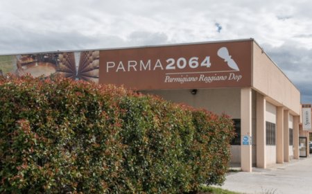 Visite guidate per famiglie con bambini al caseificio Parma2064