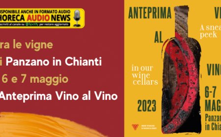 Tra le vigne di Panzano in Chianti il 6 e 7 maggio l'Anteprima Vino al Vino