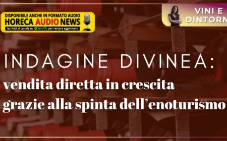Indagine Divinea: vendita diretta in crescita grazie alla spinta dell’enoturismo