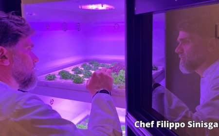 Al Ristorante Zur Kaiserkron di Bolzano arriva la coltivazione idroponica