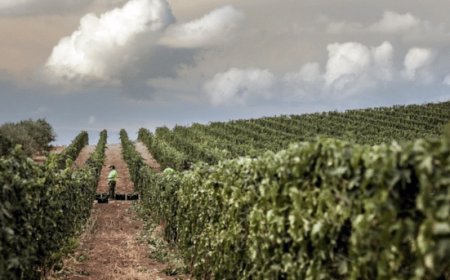 Continua il road tour 2023 di Tenute Navarra