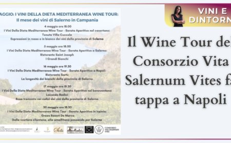 Il Wine Tour del Consorzio Vita Salernum Vites fa tappa a Napoli
