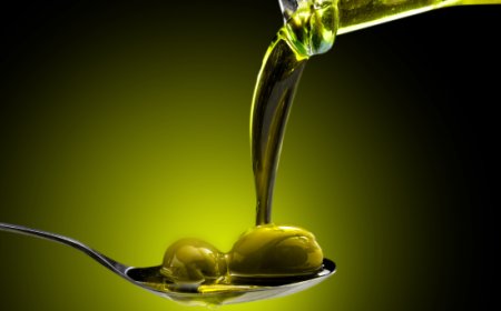 Resi noti i risultati del Concorso Oleario “Ramoscello d’Oro 2023”